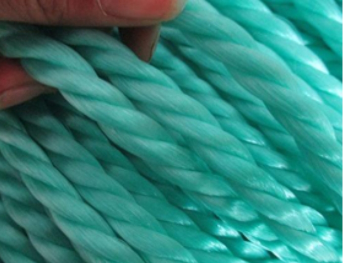 养殖绳在渔业养殖和捕捞中的应用