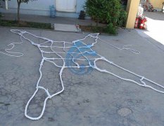 吊兜的简单介绍